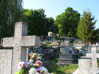 CIMITERO JANOWICE N. 190 - 1 - Il link verr aperto in una nuova finestra