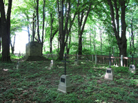 CIMITERO LUBCZA SZCZEPANOWSKA N. 191 - 1/3 - Il link verr aperto in una nuova finestra