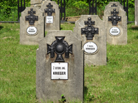 CIMITERO LUBCZA SZCZEPANOWSKA N. 191 - 4/2 - Il link verr aperto in una nuova finestra