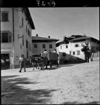foto 1 - Il link verr aperto in una nuova finestra