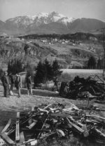 foto 1 - Il link verr aperto in una nuova finestra