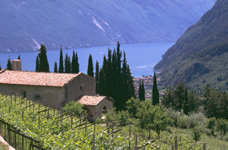 foto 1 - Il link verr aperto in una nuova finestra