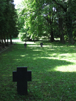CIMITERO DI PRZEMYSL - 4 - Il link verr aperto in una nuova finestra