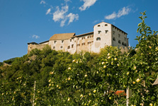foto 1 - Il link verr aperto in una nuova finestra