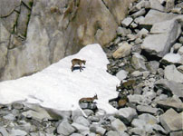 foto 1 - Il link verr aperto in una nuova finestra