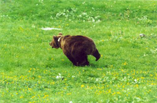 foto 1 - Il link verr aperto in una nuova finestra
