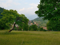 foto 1 - Il link verr aperto in una nuova finestra