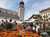 foto 1 - Il link verr aperto in una nuova finestra