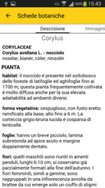 foto 1 - Il link verr aperto in una nuova finestra