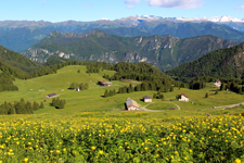 foto 1 - Il link verr aperto in una nuova finestra