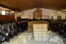 foto 1 - Il link verr aperto in una nuova finestra