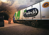 foto 1 - Il link verr aperto in una nuova finestra