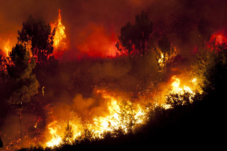 CONFERENZA SISC (SIDE EVENT) Dall'Amazzonia alla Siberia: l'impatto degli incendi nel clima che cambia