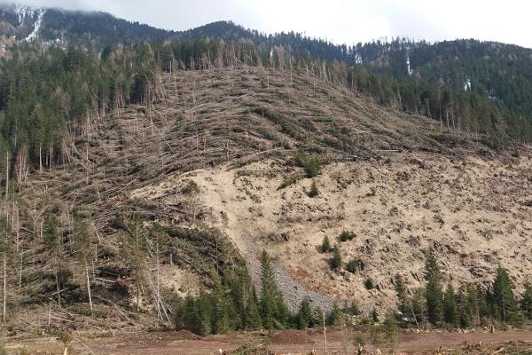 Workshop "CLIMA E RISCHI I nuovi servizi climatici per la prevenzione e la riduzione dei rischi idrogeologici"