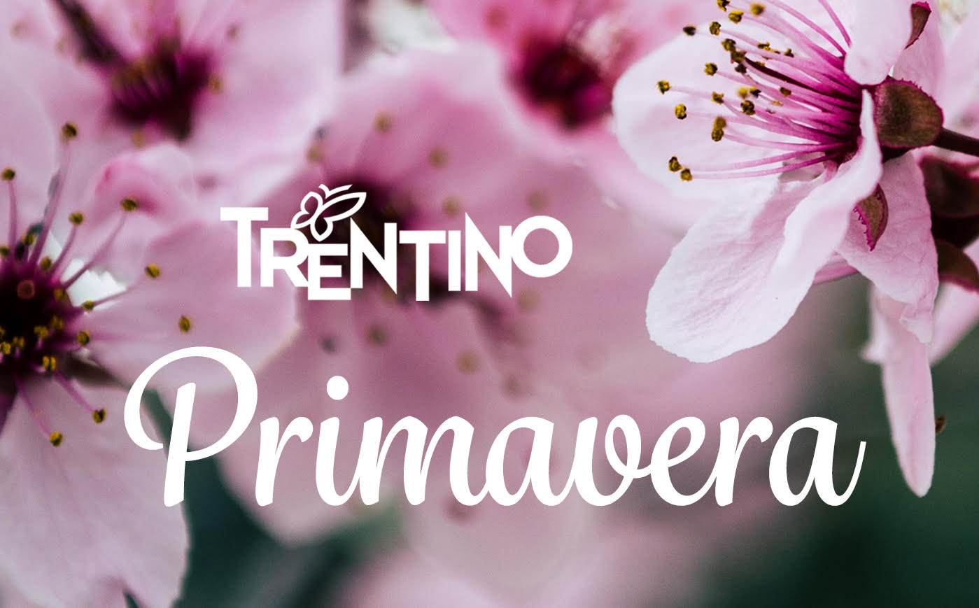 Trentino Primavera