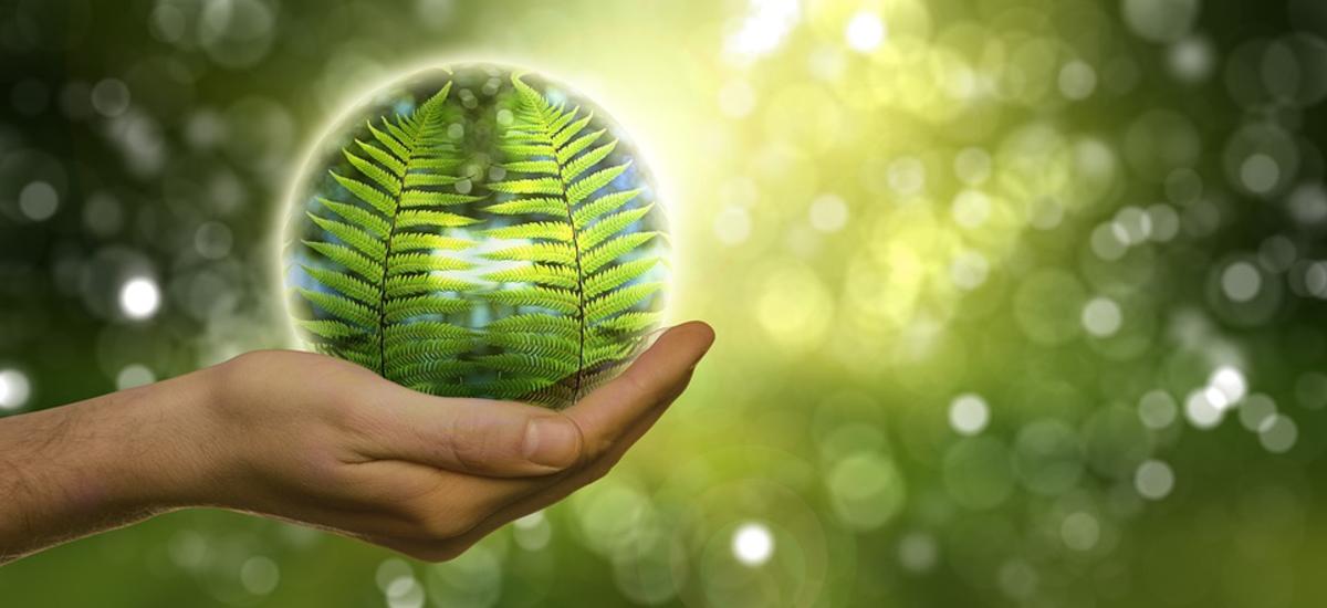 “Alpinar kraft – di djungen prodjèktàrn zuarkhemmane”: ’z hefta å di selektziong vor in iternatzionàl workshop