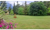 parco, giardino, fiori