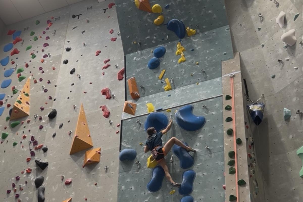 Arrampicata Sportiva Arge Alp: Il Trentino brilla con due podi e il 6° posto nella classifica generale