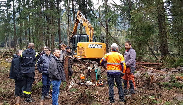 Danni alle foreste in val di Fiemme